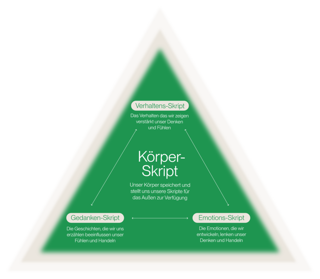 Abbildung „Das Zusammenwirken unserer Skripte“